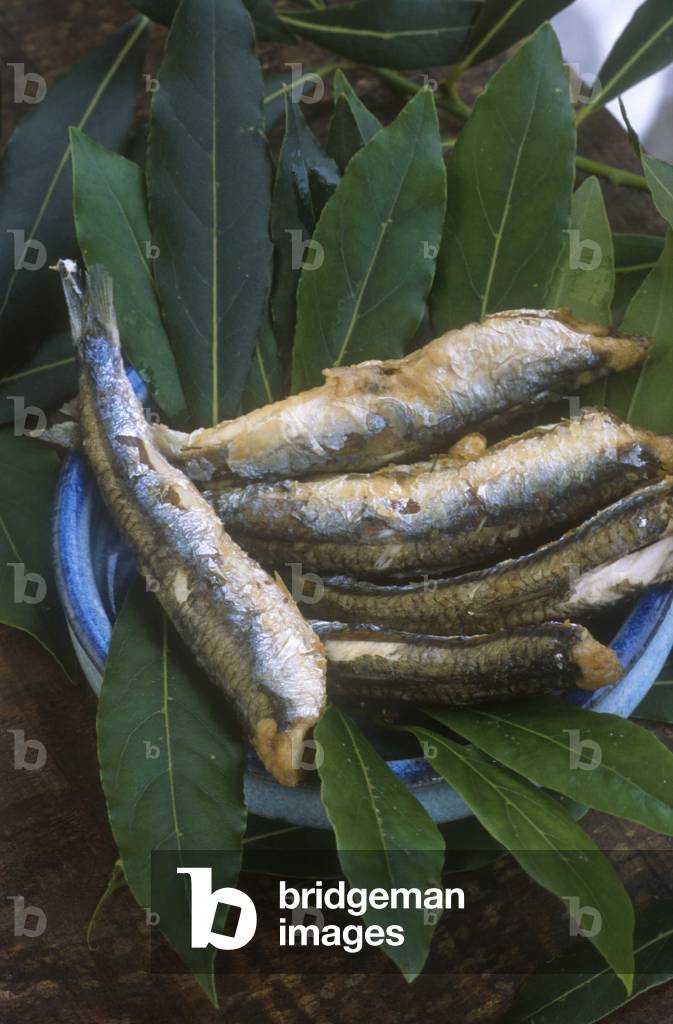 Fried anchovies, Monterosso, Cinque Terre, Liguria, Italy