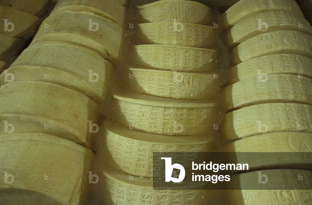 Cheese, Asiago upland, Bikers' itinerary, Veneto, Italy