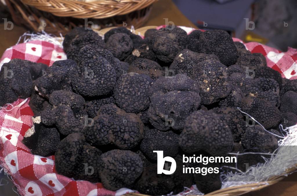 Truffle, Carovilli, Molise, Italy
