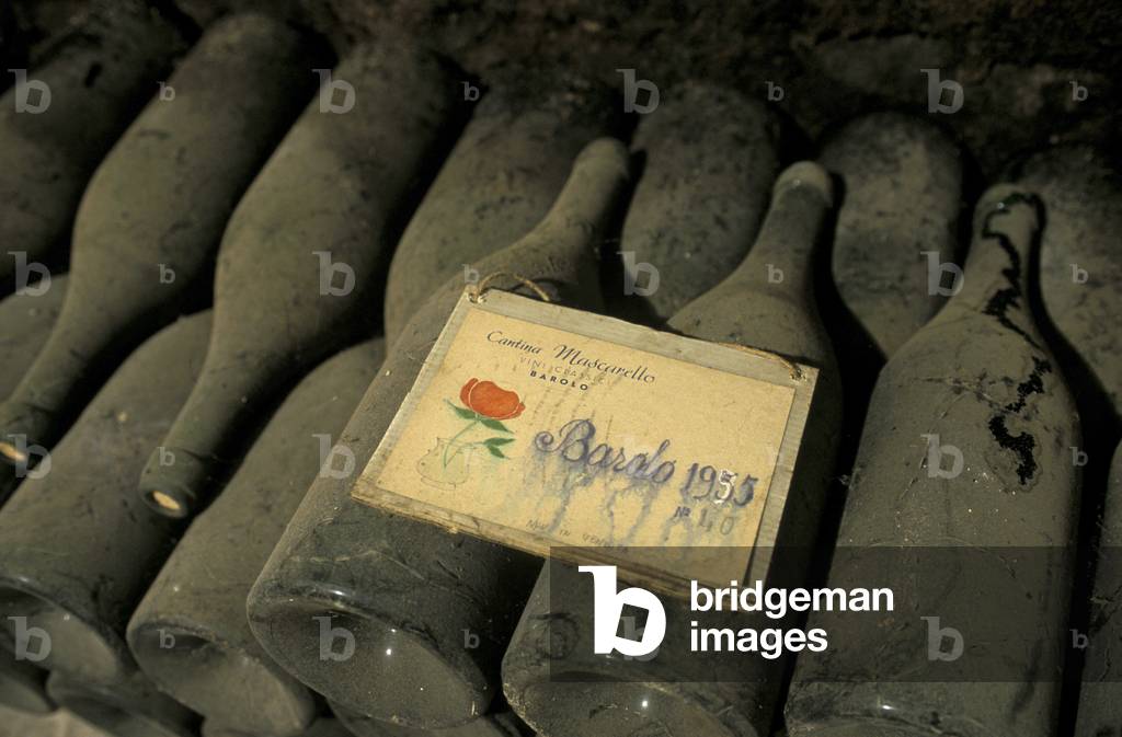 Old bottles, Mascarello cellar, Barolo, Piedmont, Italy.
