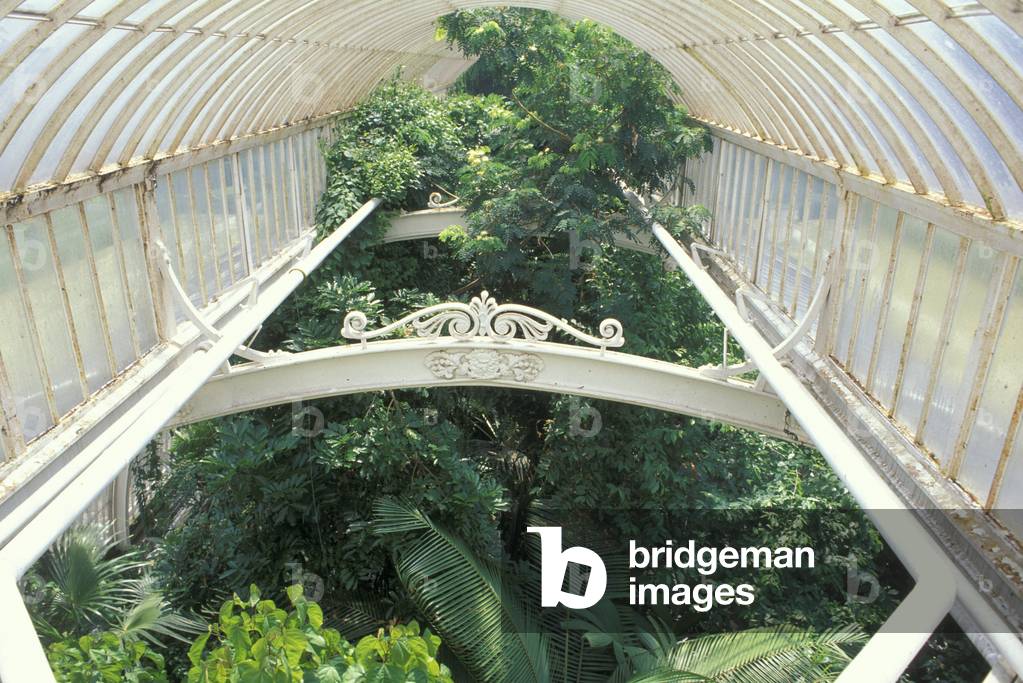 palm house, london kew gardens, great britain