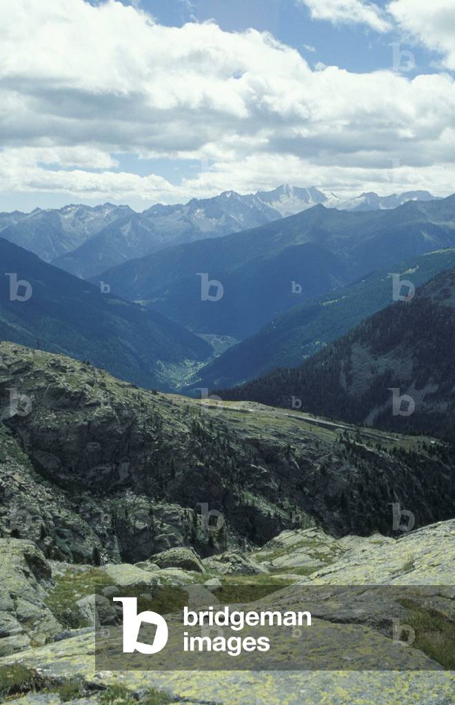 Landview of Val di Pejo, Stelvio National Park, Trentino, Italy