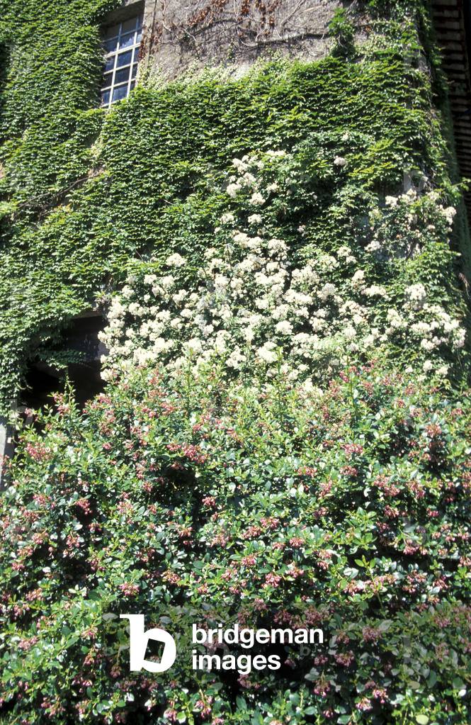 Garden of Patrizi palace, Castelgiuliano, Roma, Lazio, Italy.