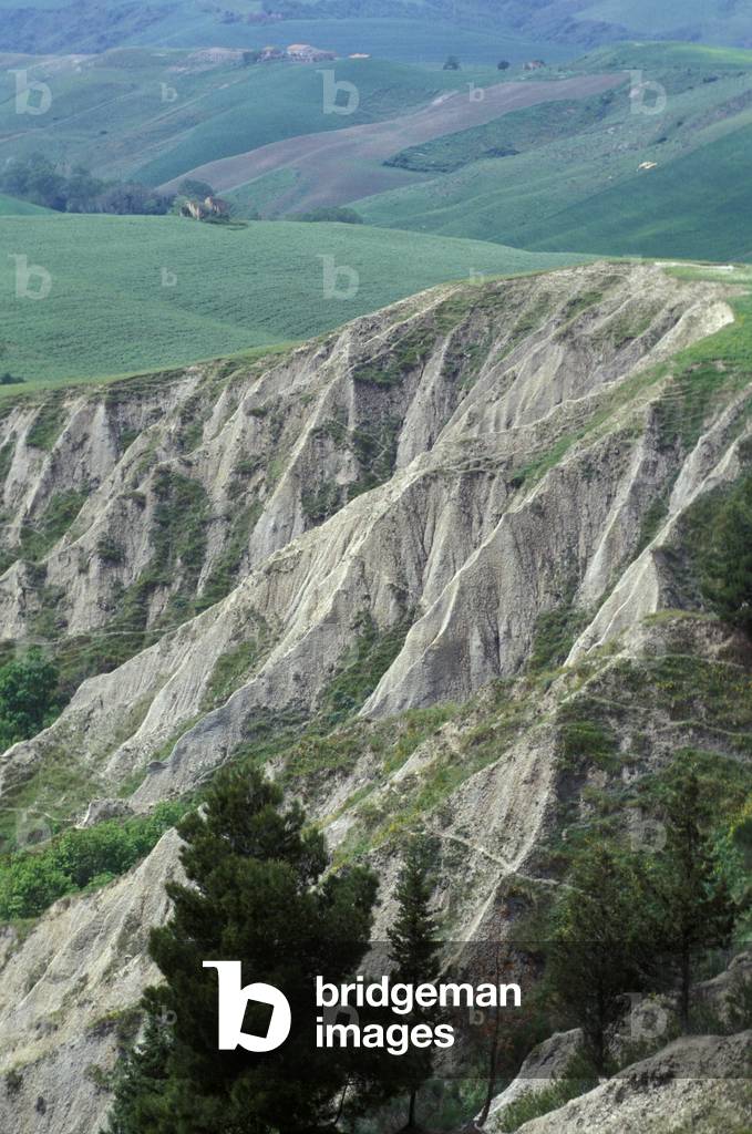 Calanchi in San Cipriano, Volterra, Val di Cecina, Toscana, Italy