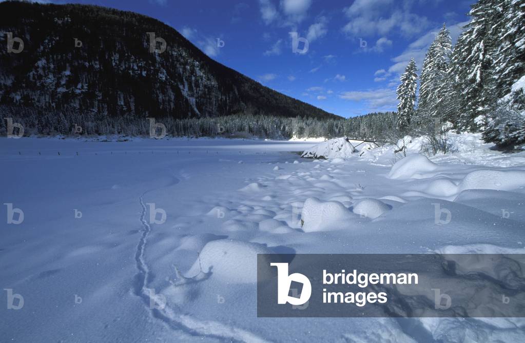 Fusine lake, Tarvisio, Friuli-Venezia-Giulia, Italy