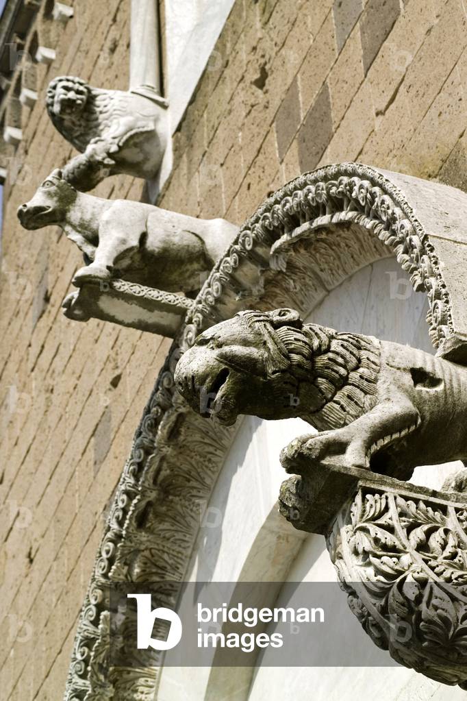 Bild von Fotografie "Insbesondere Hauptportal"