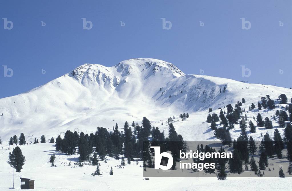 Pampeago mountain, Val di Fiemme, Trentino Alto Adige, Italy