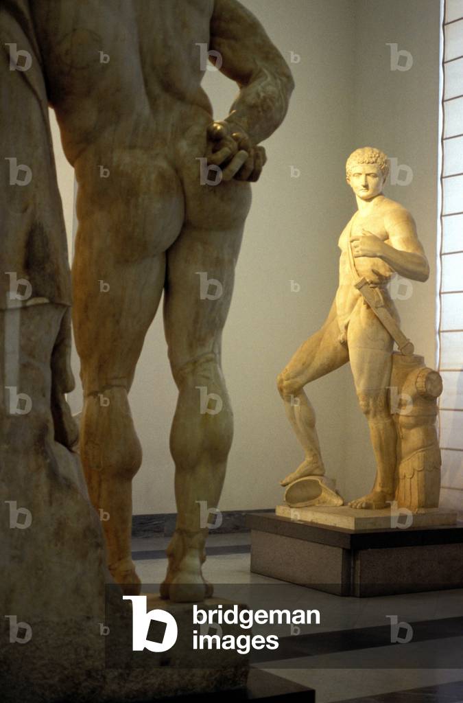 National Archaeological Museum, Naples, Campania, Italy