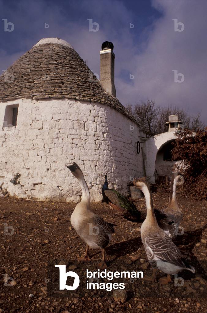 Masella farm, Martina Franca, Val d'Itria, Puglia, Italy