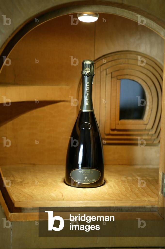 A bottle, Bellavista winery, Erbusco, Lombardy, Italy