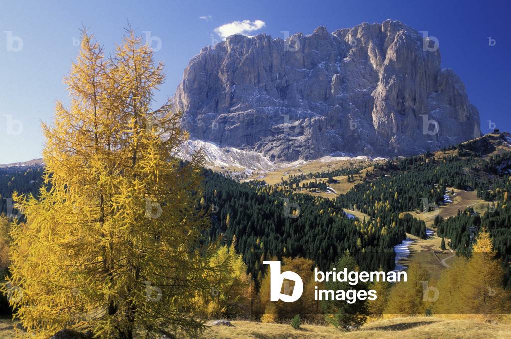 Group of Sasso Lungo, Passo Sella, Alto Adige, Italy