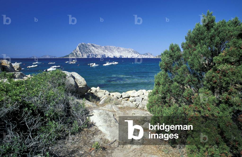 View of Tavolara island, Sardinia, Italy