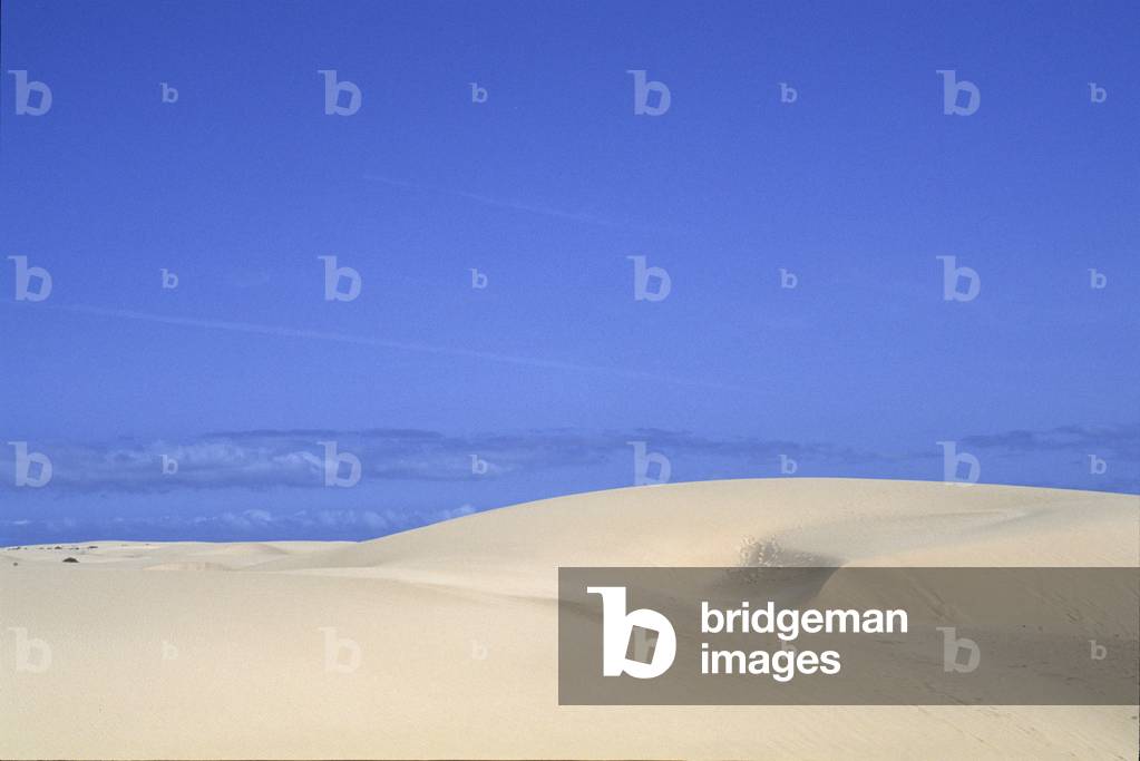 Parco delle Dune, Fuerteventura, Canary Islands, Spain, Atlantic, Europe