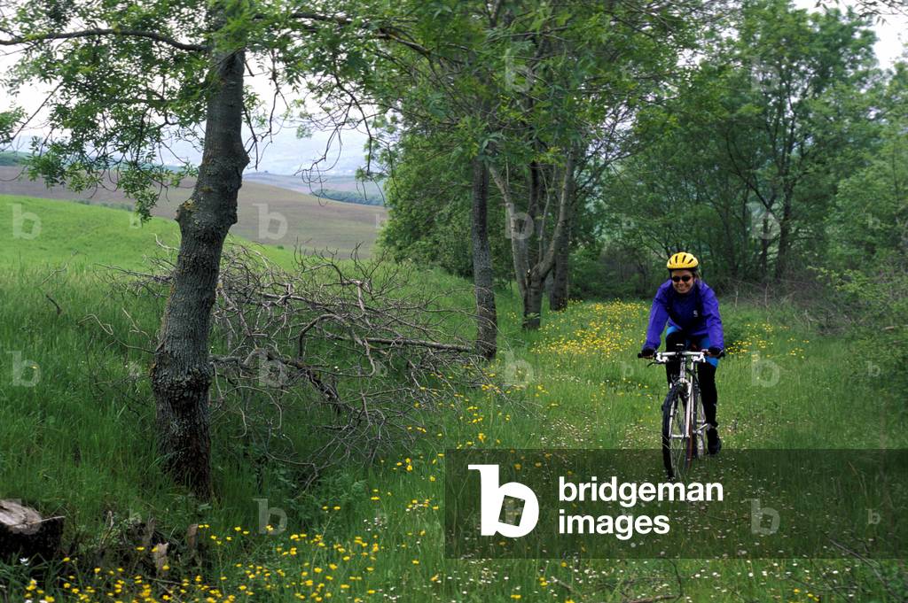Towards San Cipriano, from Lischeto, Val di Cecina, Toscana, Italy