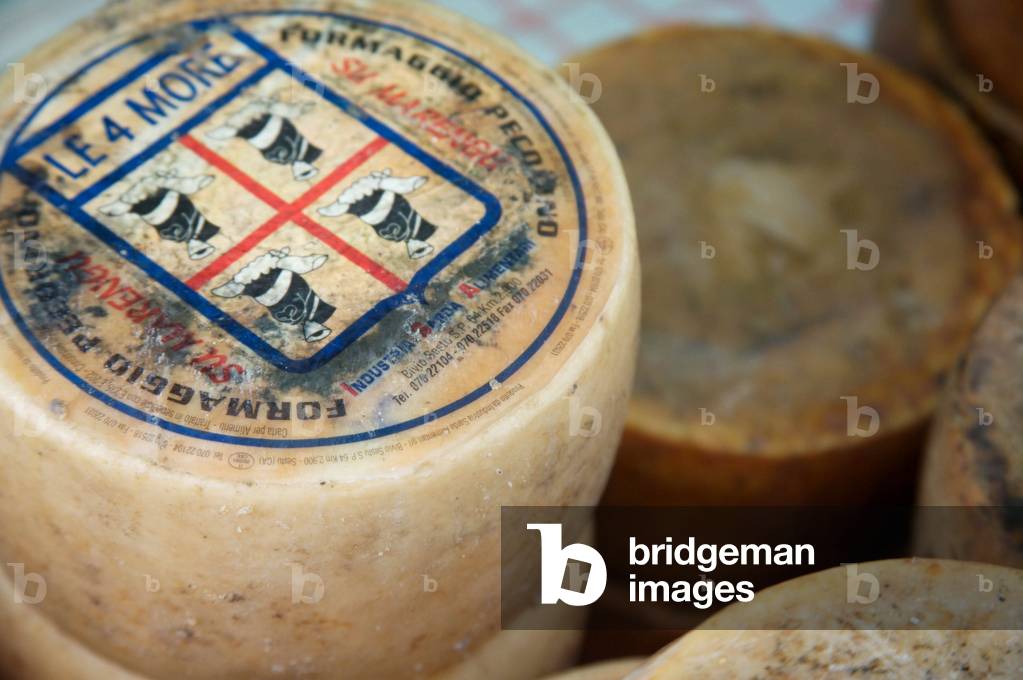 Sardinian cheese, Sardinia, Italy