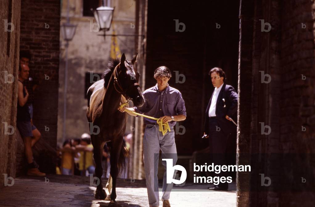 The horse running the Palio is protected and hidden to the public, Siena, Tuscany, Italy