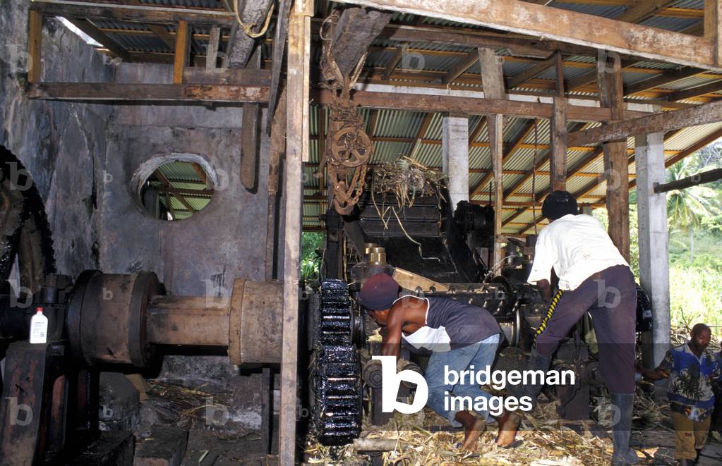Rum factory, Grenada island, Caribbean, Central America