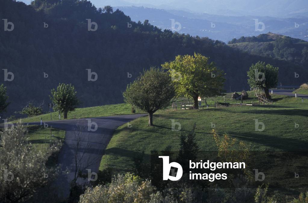 Countryside, Braccano, Matelica, Marche, Italy