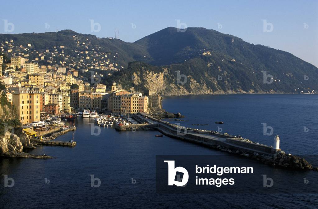 Cityscape, Camogli, Liguria, Italy
