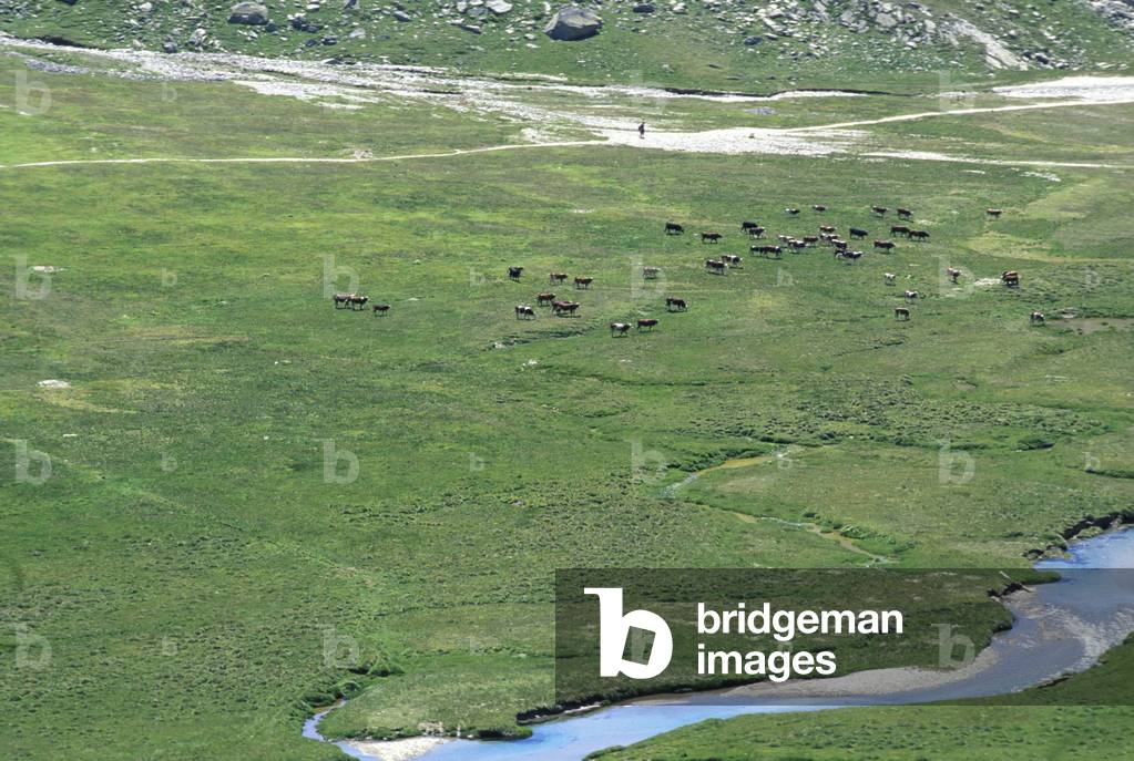 Plateau, Gran Paradiso, Piedmont, Italy