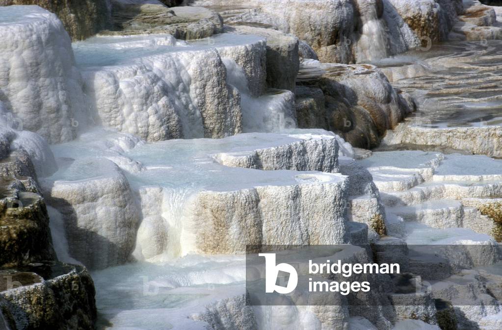 Mammoth, lower terraces, Yellowstone National Park, United States of America, America