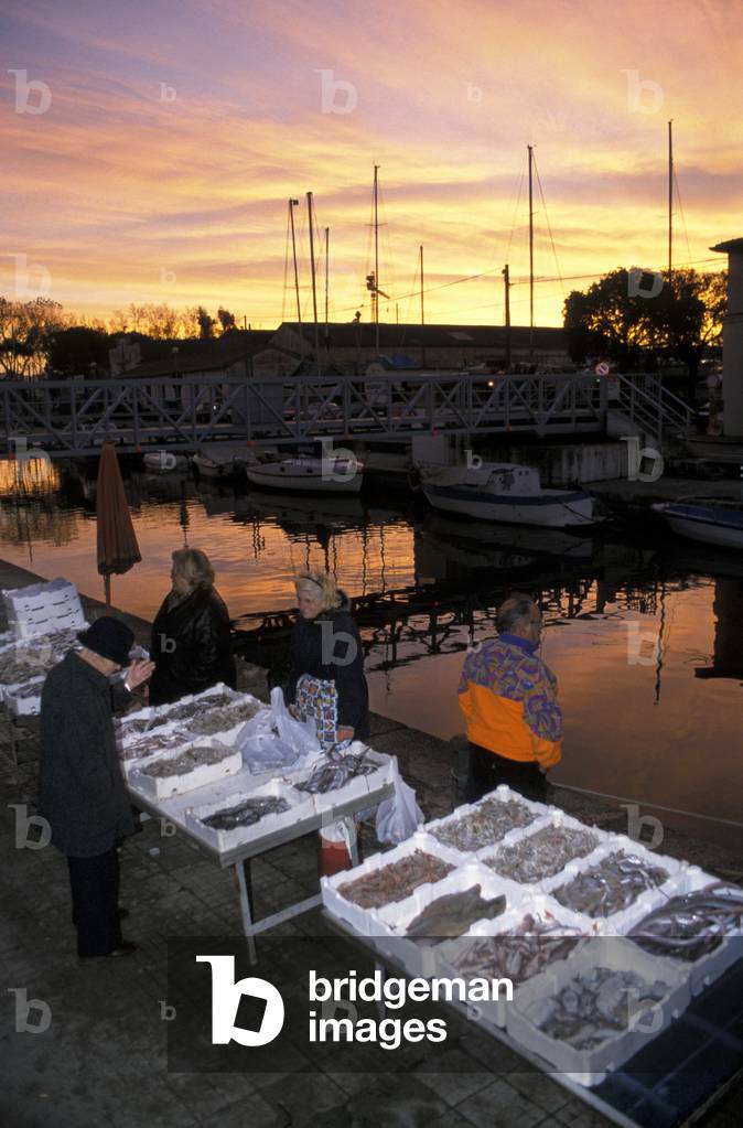 Fish market, Viareggio, Tuscany, Italy