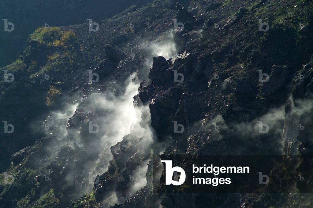Fumarole, Vesuvio volcano, Naples, Campania, Italy