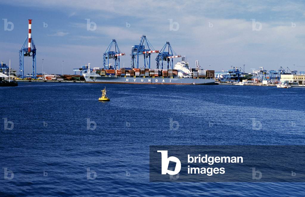 Cranes, Industrial harbour, Genoa, Ligury, Italy