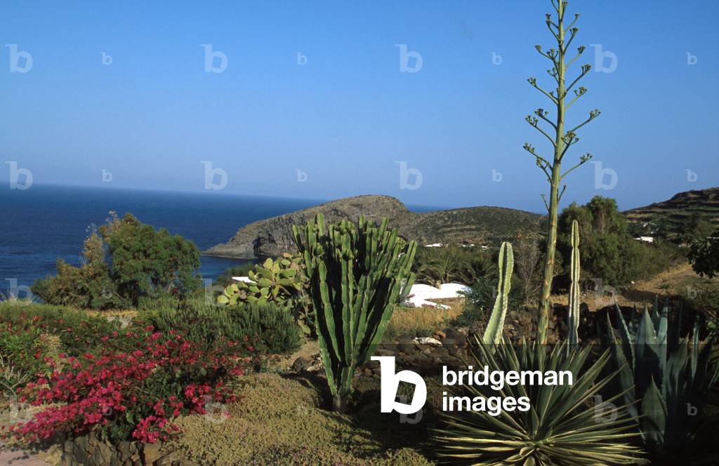 View, Pantelleria, Sicily, Italy