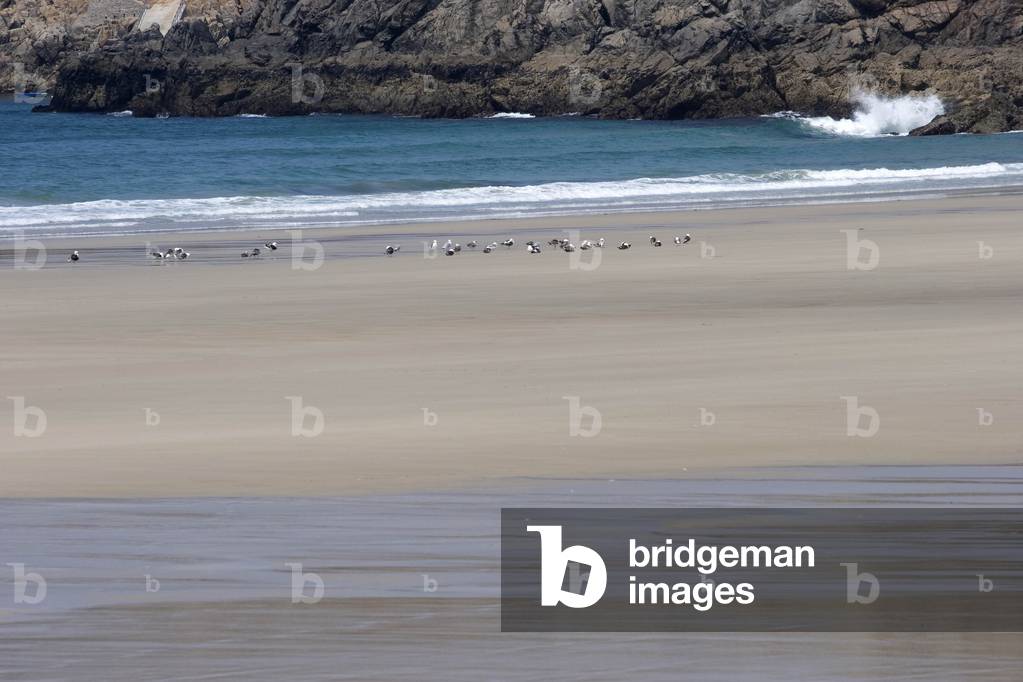 La Baie des Trépasts, Cap Sizun, Brittany, France, Europe