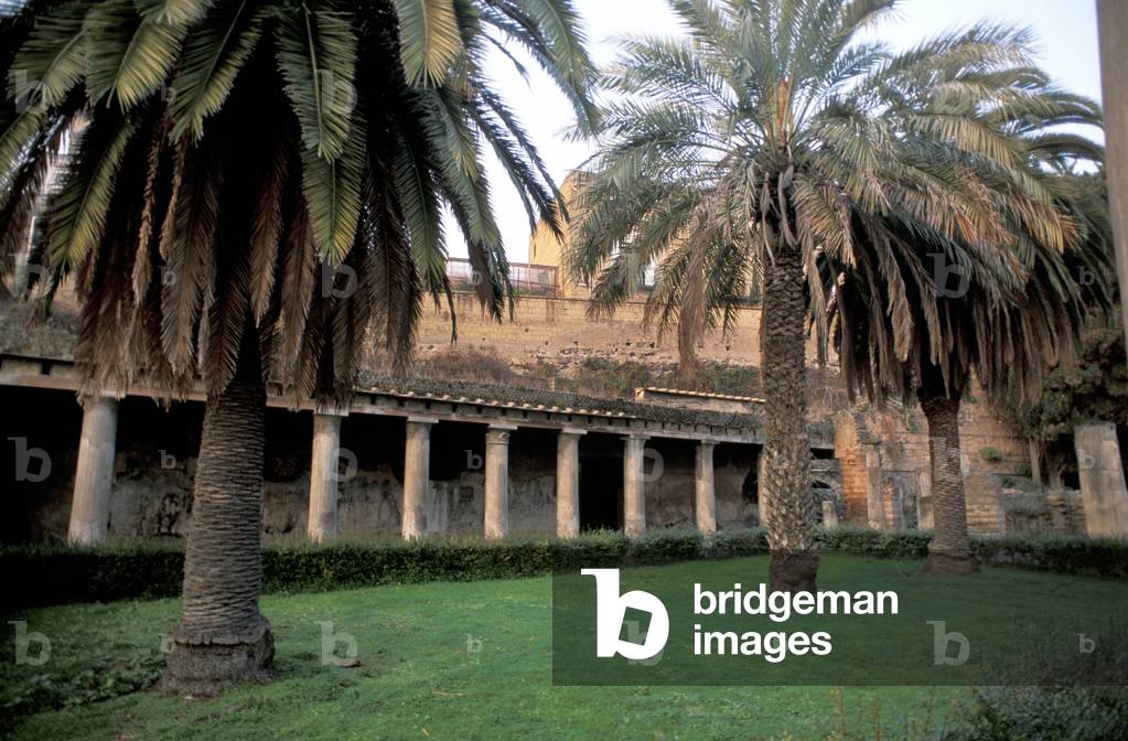 Excavations, Ercolano, Campania, Italy