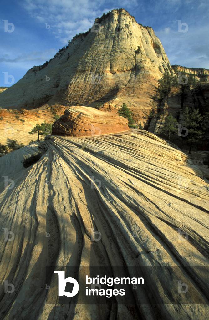 Zion national park, Utah, United States of America, North America