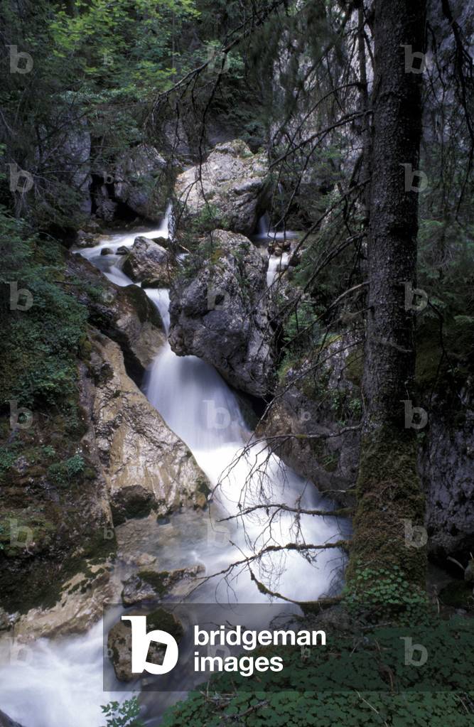 Val San Nicolò, Val di Fassa, Trentino Alto-Adige, Italy