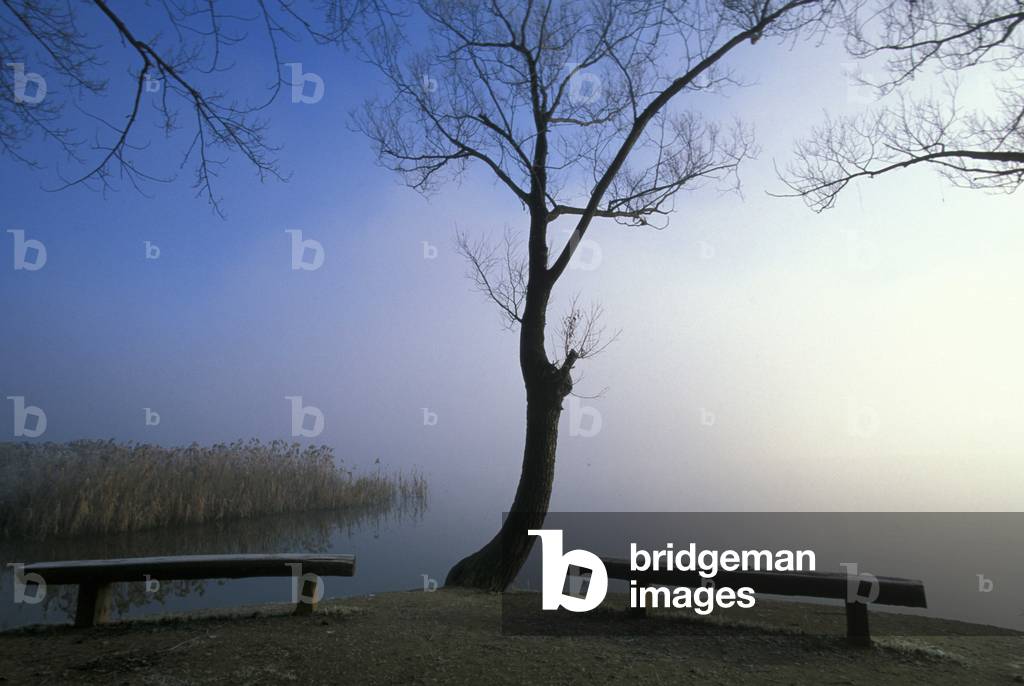 Lake and fog, Brianza, Lombardy, Italy