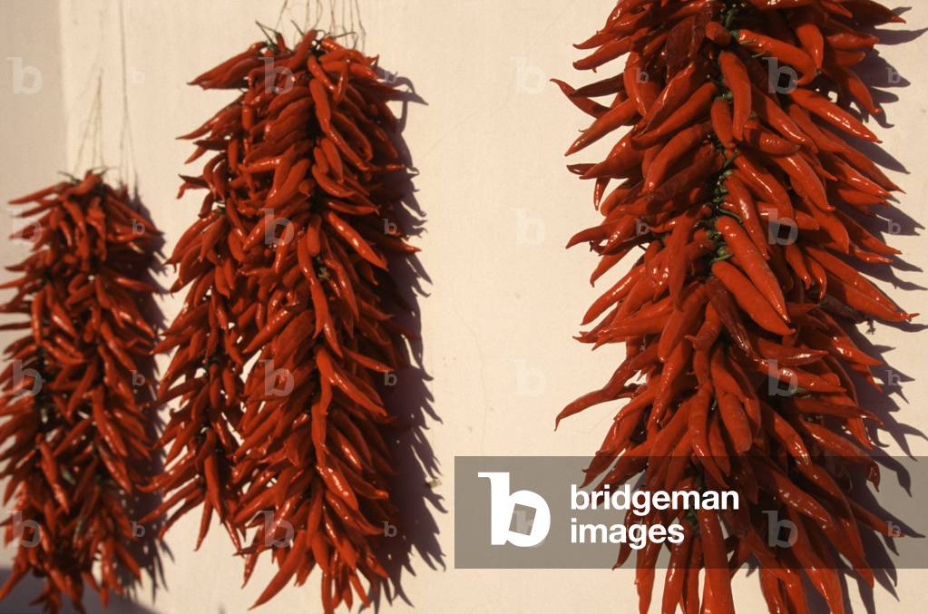 Chili peppers, Ischia, Campania, Italy