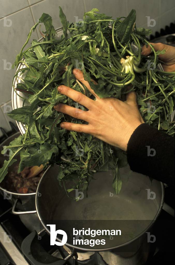 Cooking cicory, Nardò, Puglia, Italy