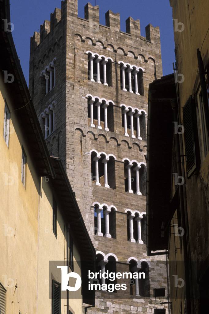 Giunigi tower, Lucca, Tuscany, Italy