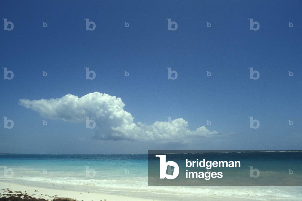 Seashore, Ile Aux Mats, Madagascar, Africa