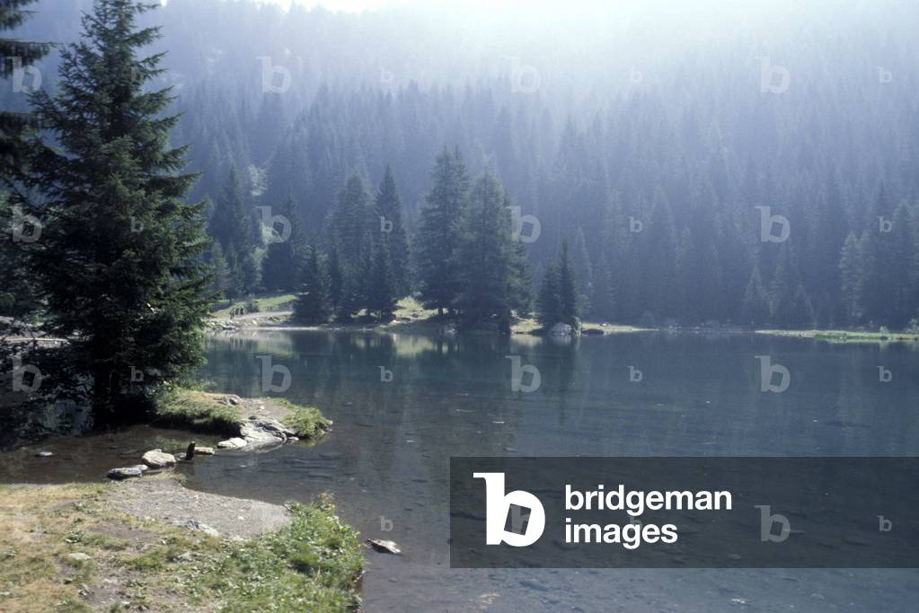 Caprioli lake, Trentino Alto Adige, Italy