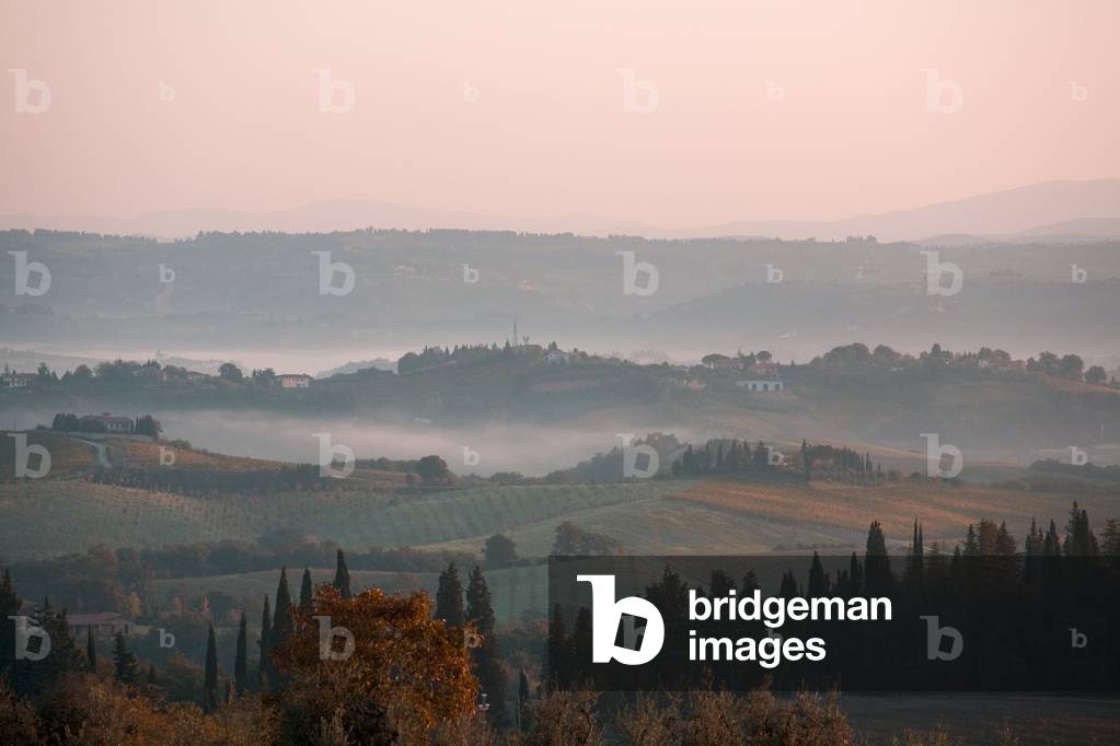 Landscape, Chianti area, Tuscany, Italy