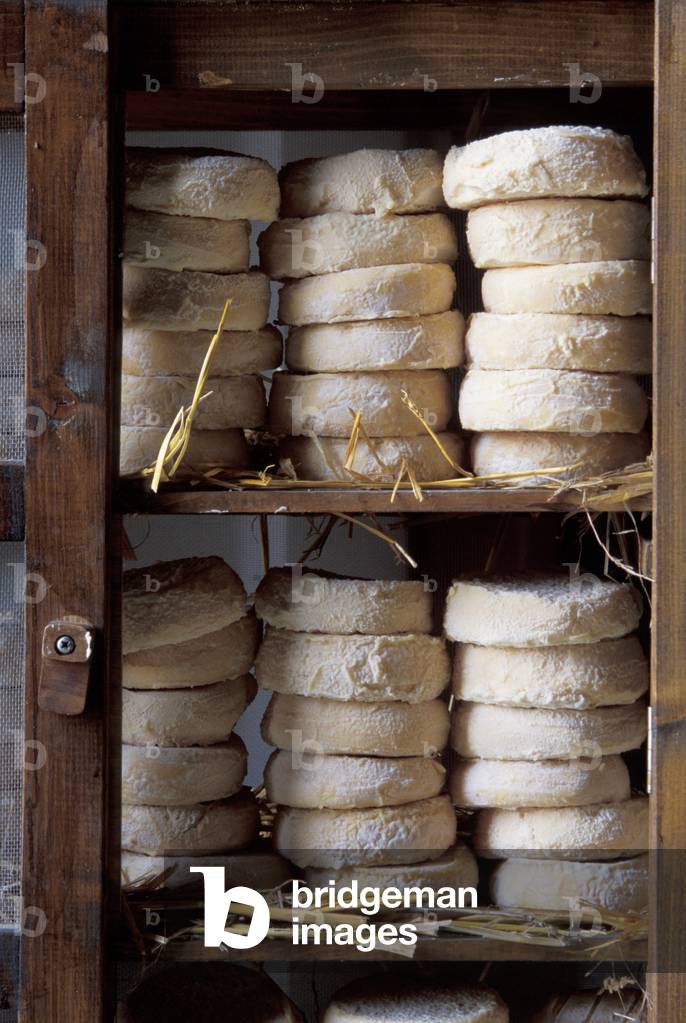 Robiole, Roccaverano, Piedmont, Italy