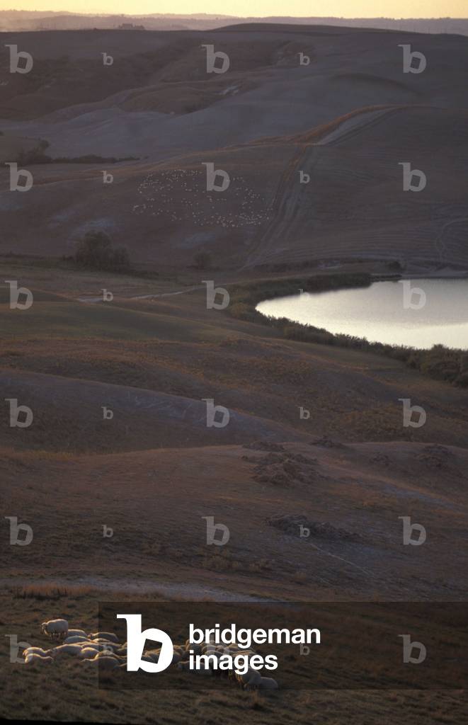 Crete, Siennese country, Siena, Tuscany, Italy
