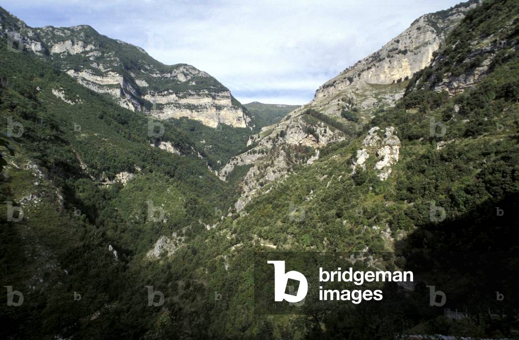 Landscape, Valle delle Ferriere, Amalfi coast, Italy, Italy