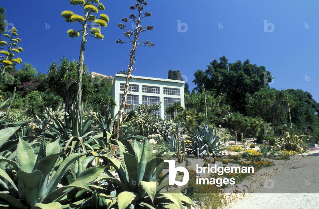 Botanical garden, Cagliari, Sardinia, Italy
