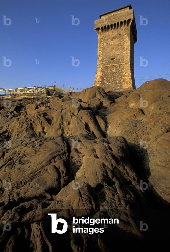 Calafuria tower, Livorno, Tuscany, Italy