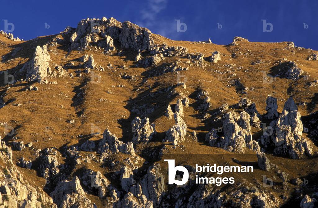 Image of Photography depicting Calcrete