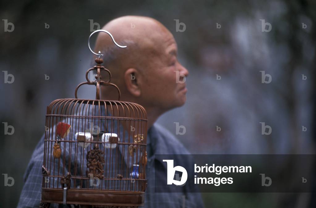 Bird market, Yuen Po street, Hong Kong, China, Asia