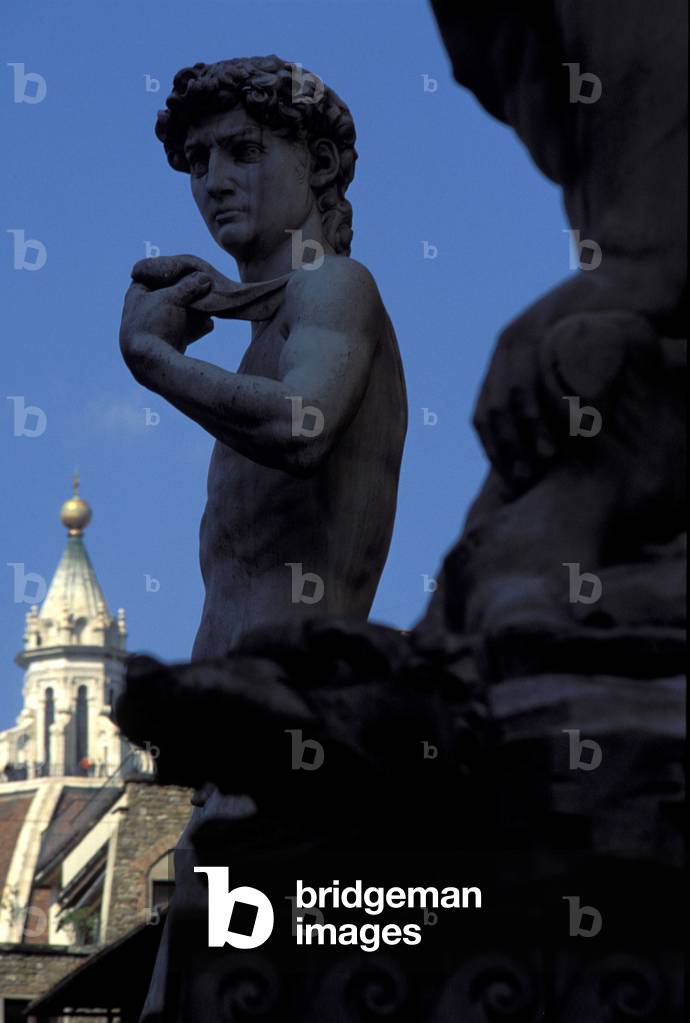 David, Florence, Tuscany, Italy