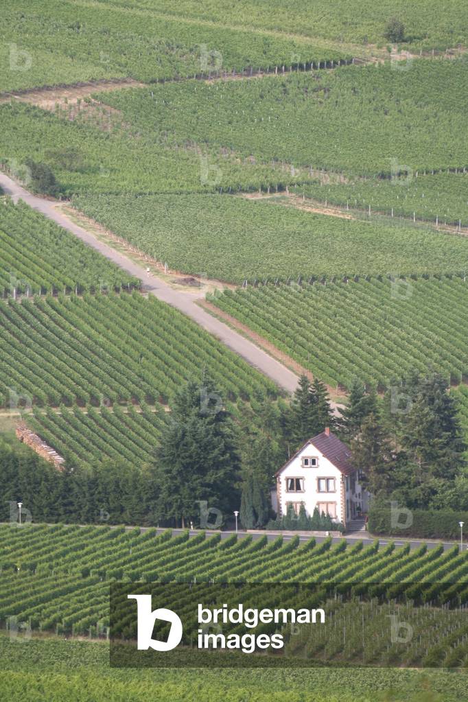 Klingenmunster, Reinland-Palatinate, Germany, Europe