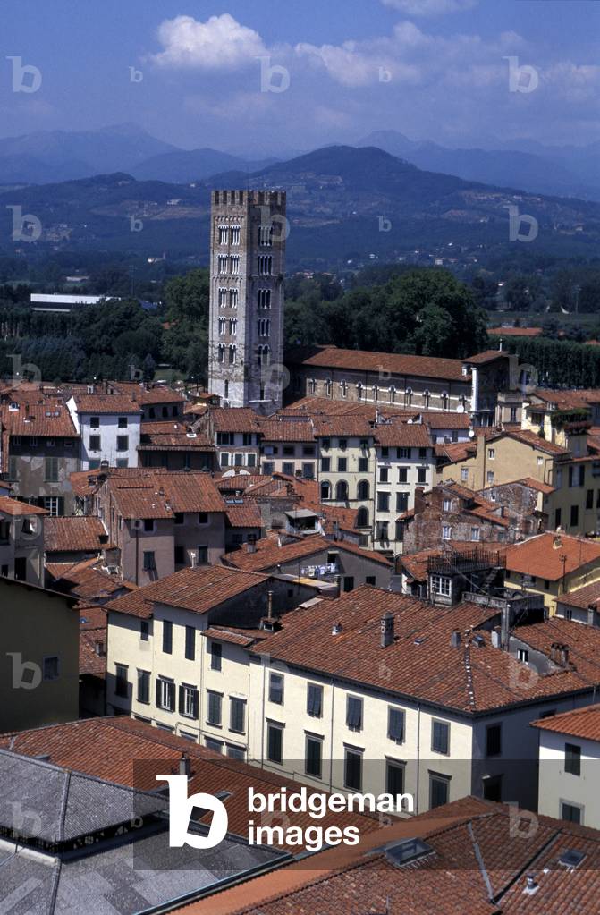 Cityscape from Guinigi tower, Lucca, Tuscany, Italy.